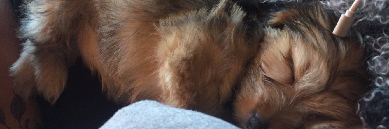 siickbaylee's profile banner image