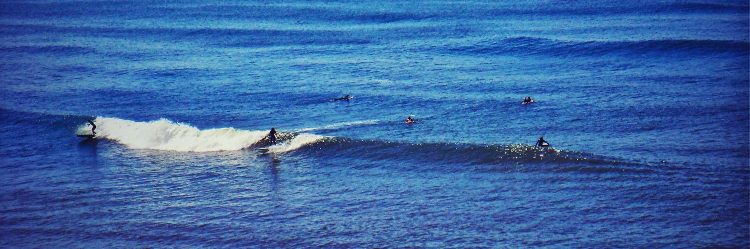 Rachel Jorich banner