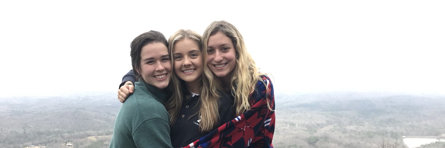 lssullivan_'s profile banner image