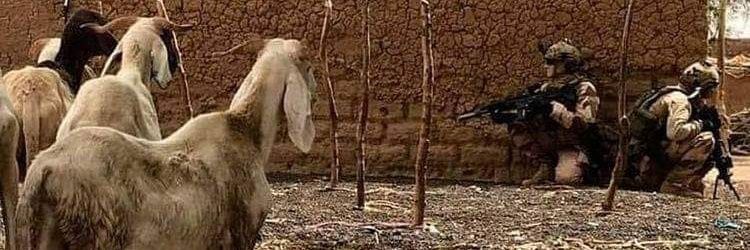 Alain DABILOUGOU banner