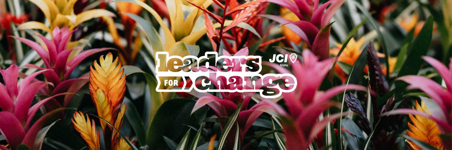JCIMalta's profile banner image