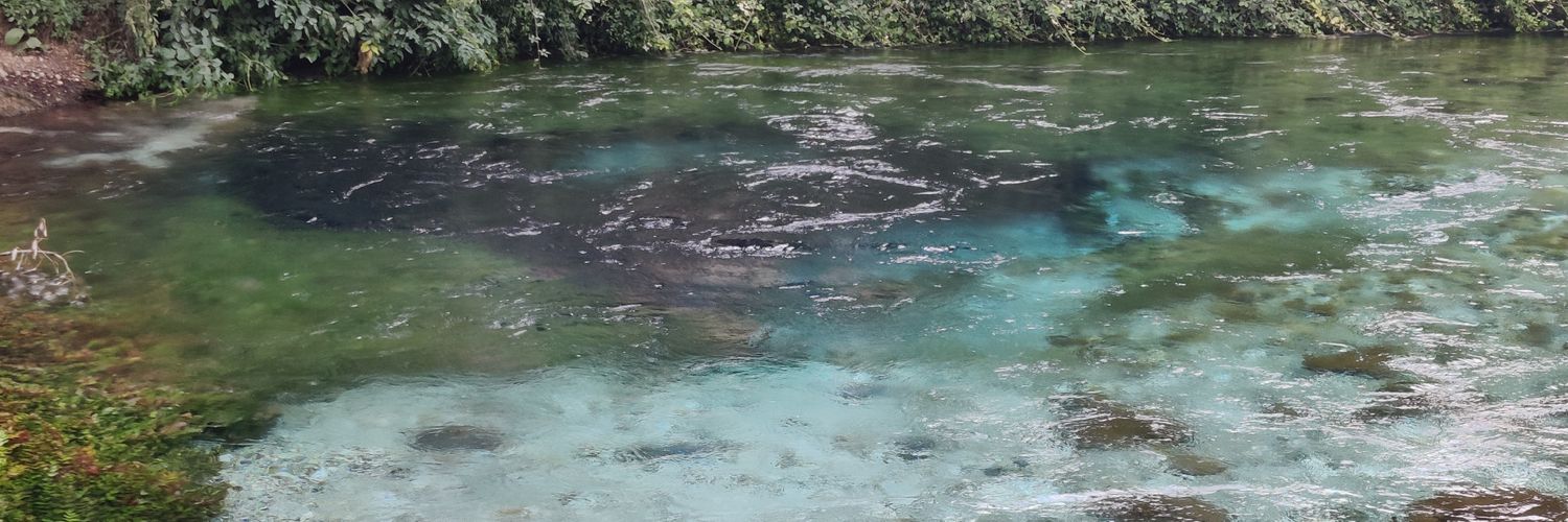 Marko Pasanen banner