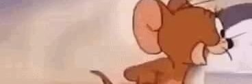 TigerQueste23's profile banner image