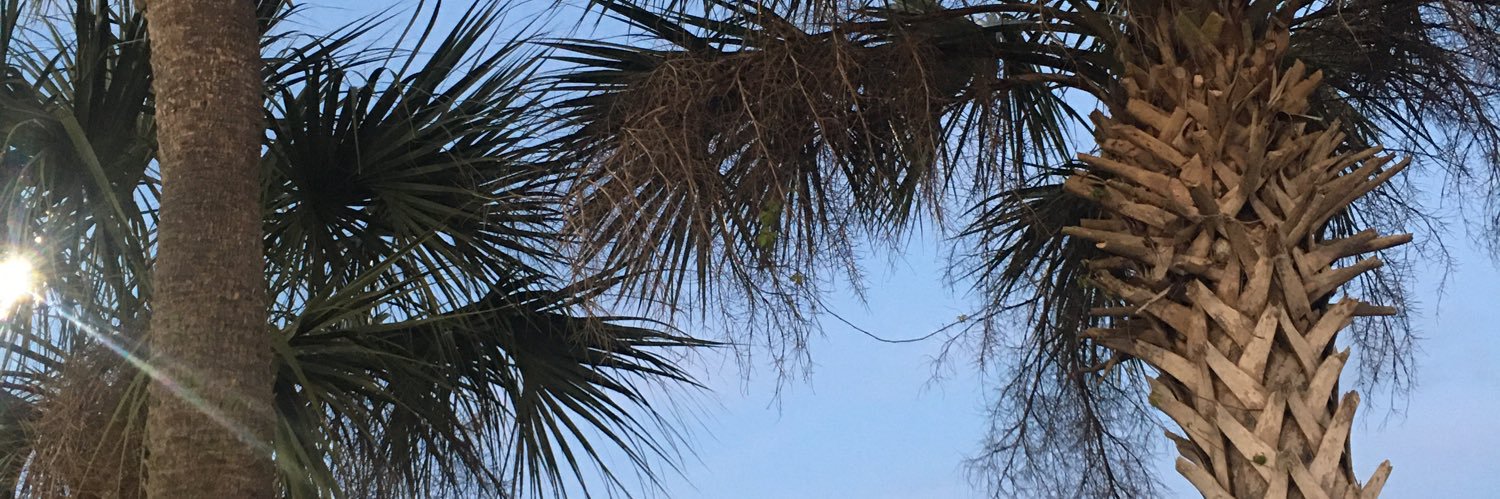 KE_Ski's profile banner image