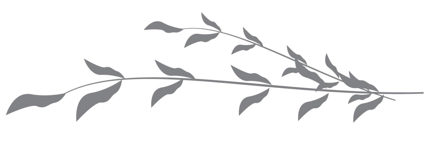 BlissfulBasil's profile banner image