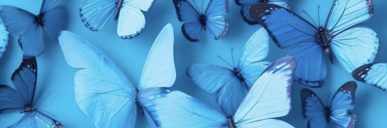 BellaaMonae's profile banner image