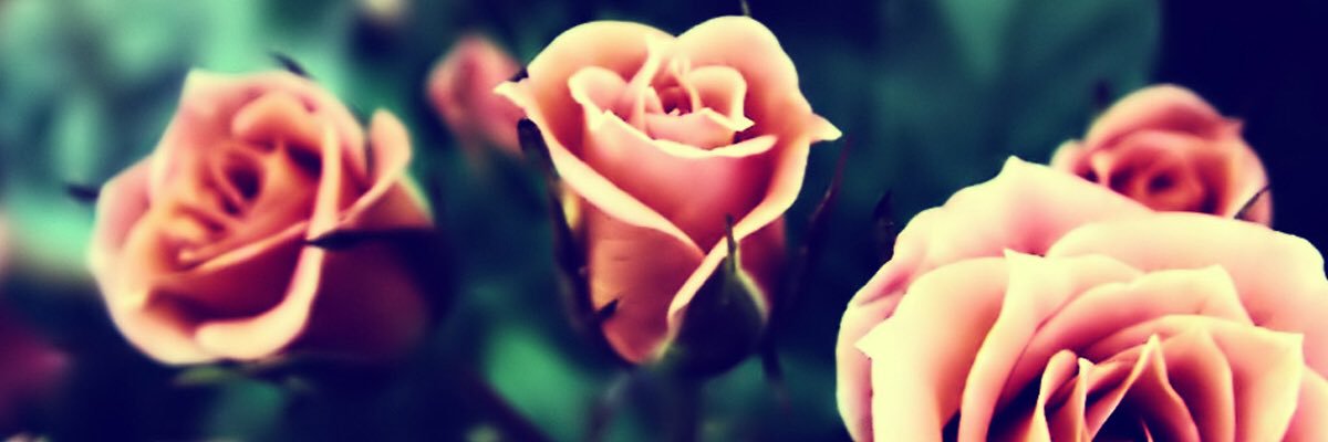 jayyytee's profile banner image