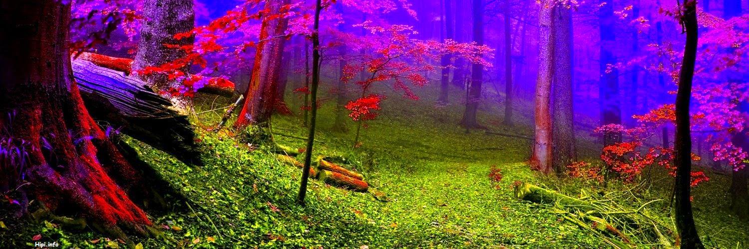 TDNCommunity's profile banner image