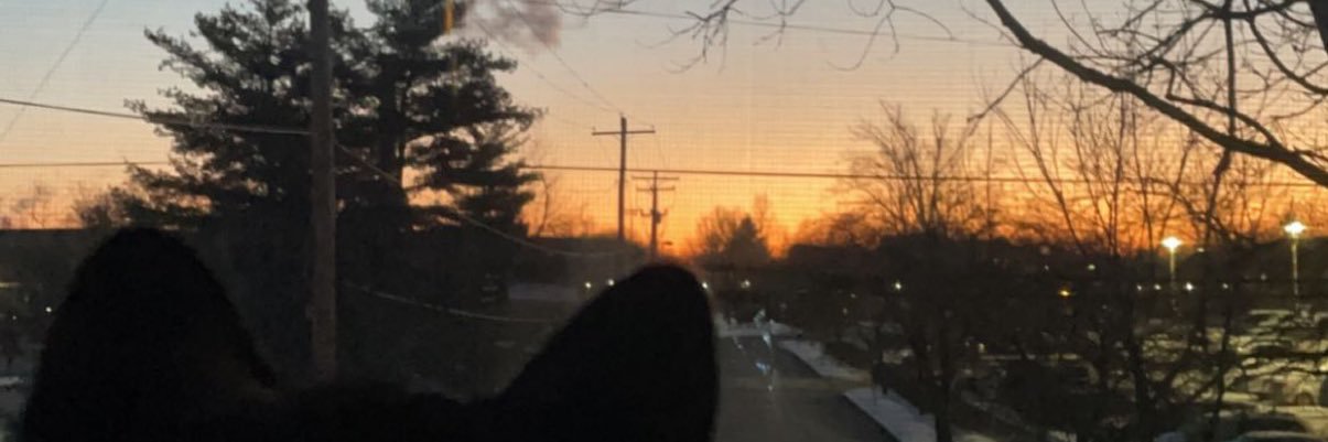 mlzb_th's profile banner image