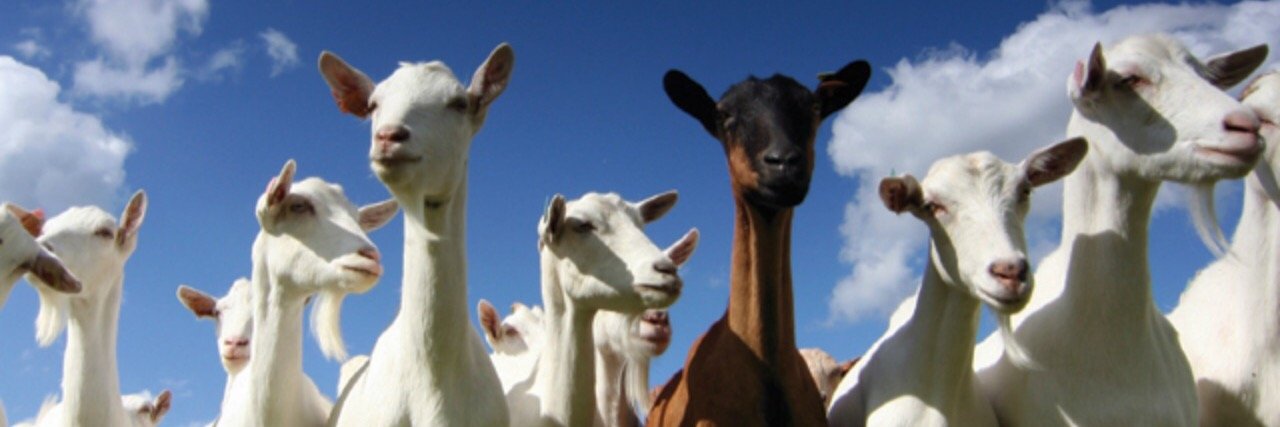 Goatss_'s profile banner image