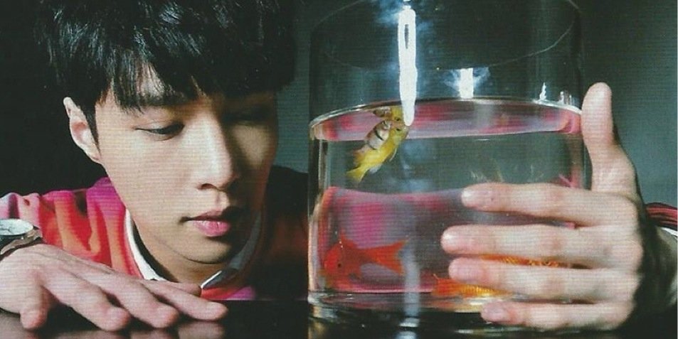 __ZYXZJS91's profile banner image