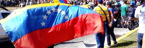 olga_castelo's profile banner image