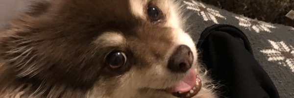 chef_mike68 Profile Banner