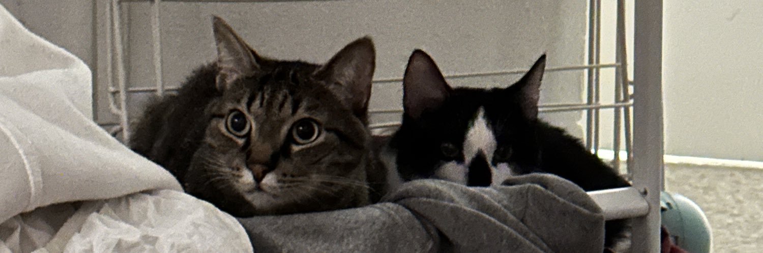reecespider's profile banner image