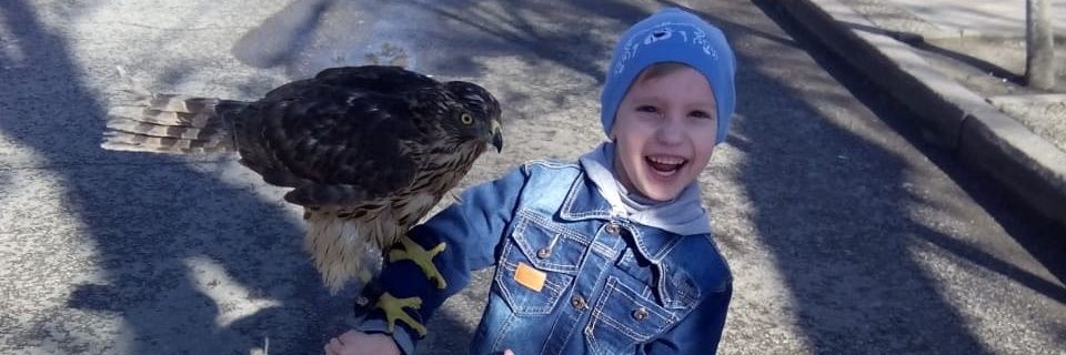 PobedaKrav's profile banner image