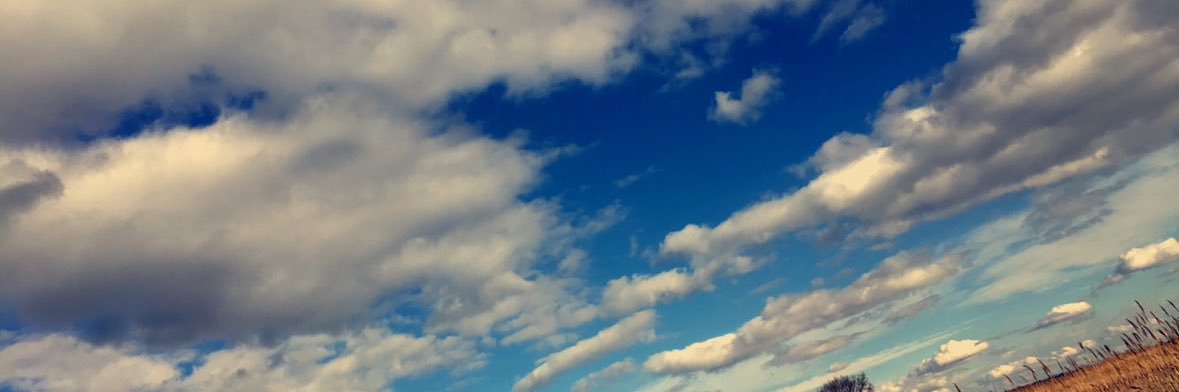 kaylasharrow's profile banner image
