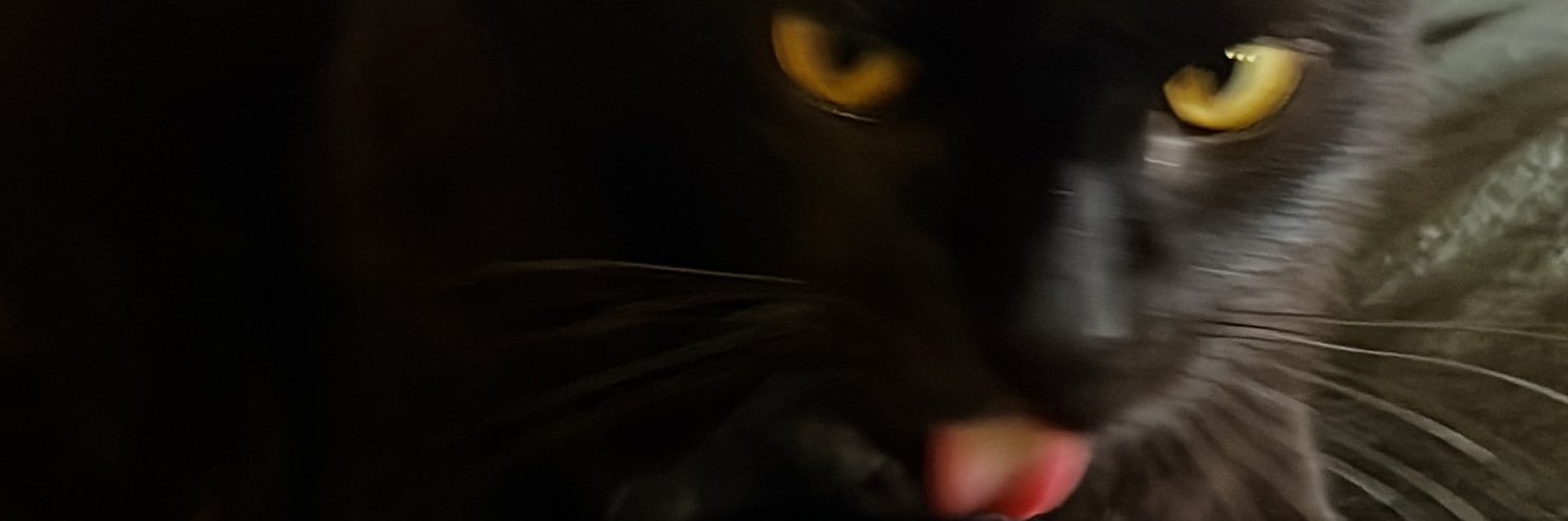 Luisa_Beda's profile banner image