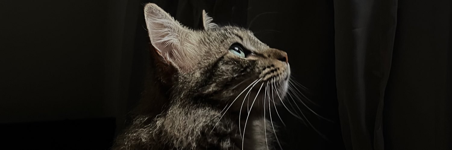 badgalmclara's profile banner image