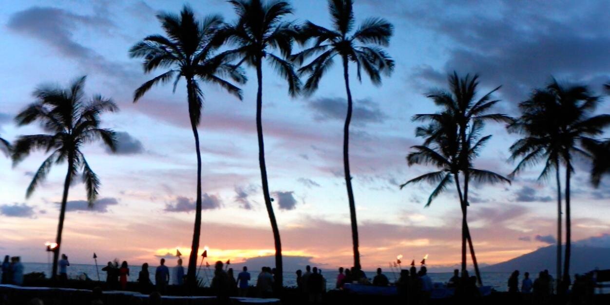CherylVanderPol's profile banner image