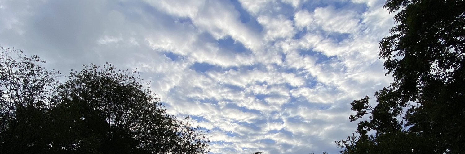 Mary Gallivan Coaching banner