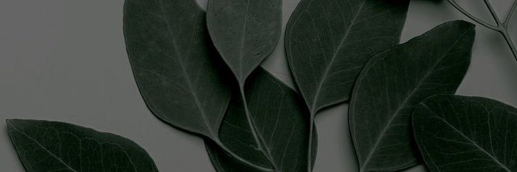 fernaaando_r's profile banner image
