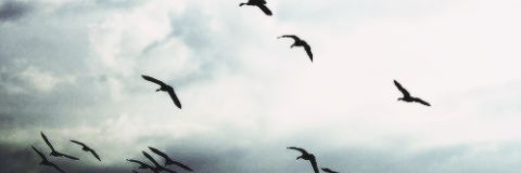 LauraLa93's profile banner image