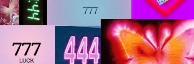 whitnizzl's profile banner image