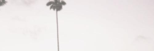 ddlovato_Rares's profile banner image