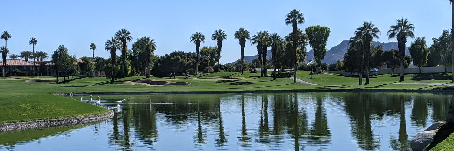 Stuart Packard banner