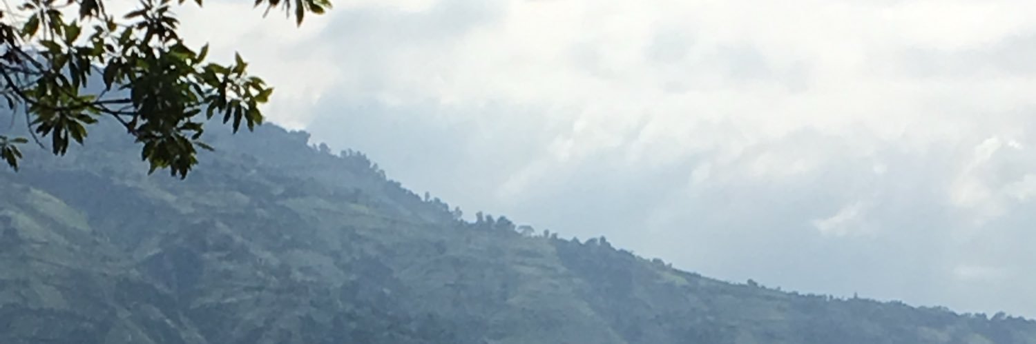 msklely09's profile banner image