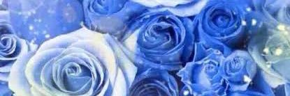 a_n_jall's profile banner image