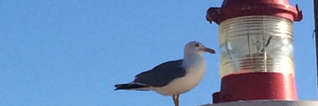 salyane72's profile banner image