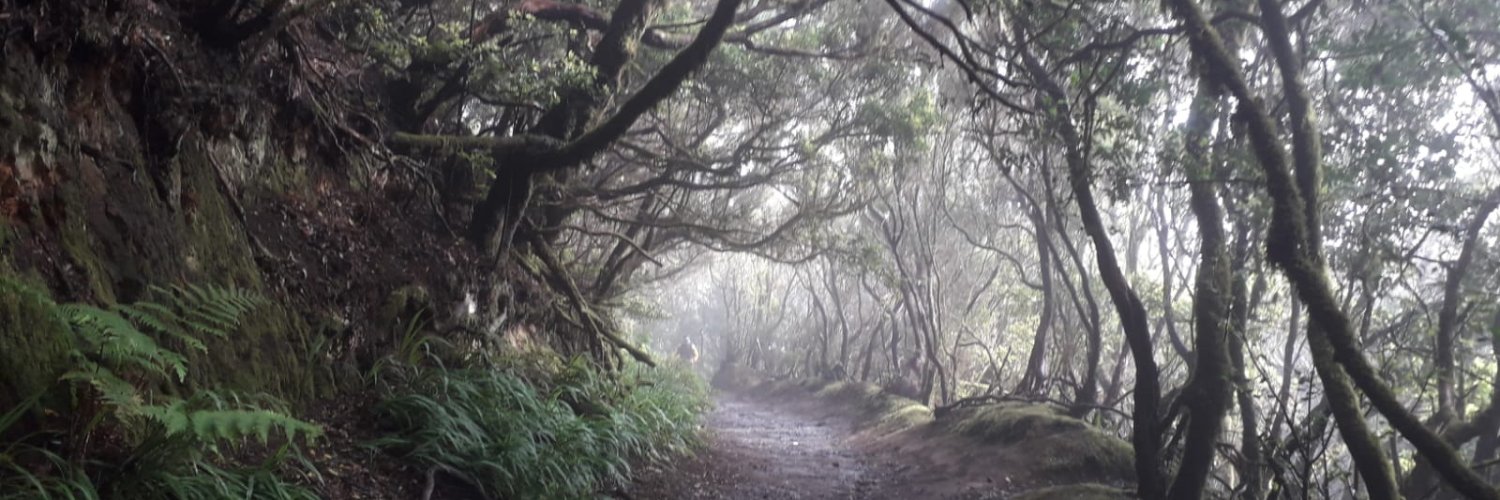 Fermín Domínguez banner