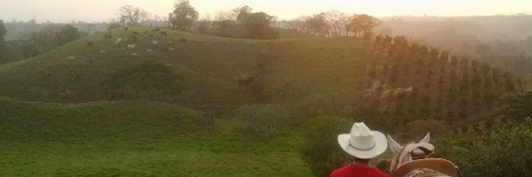 JGpika's profile banner image