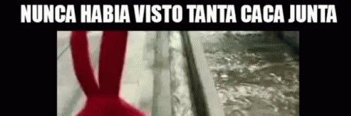 negropirata's profile banner image