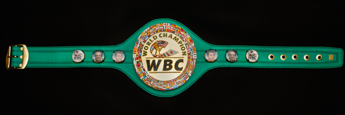 WBC_ES's profile banner image