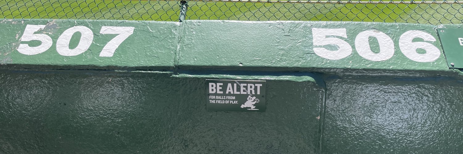 Bleacher Lew banner
