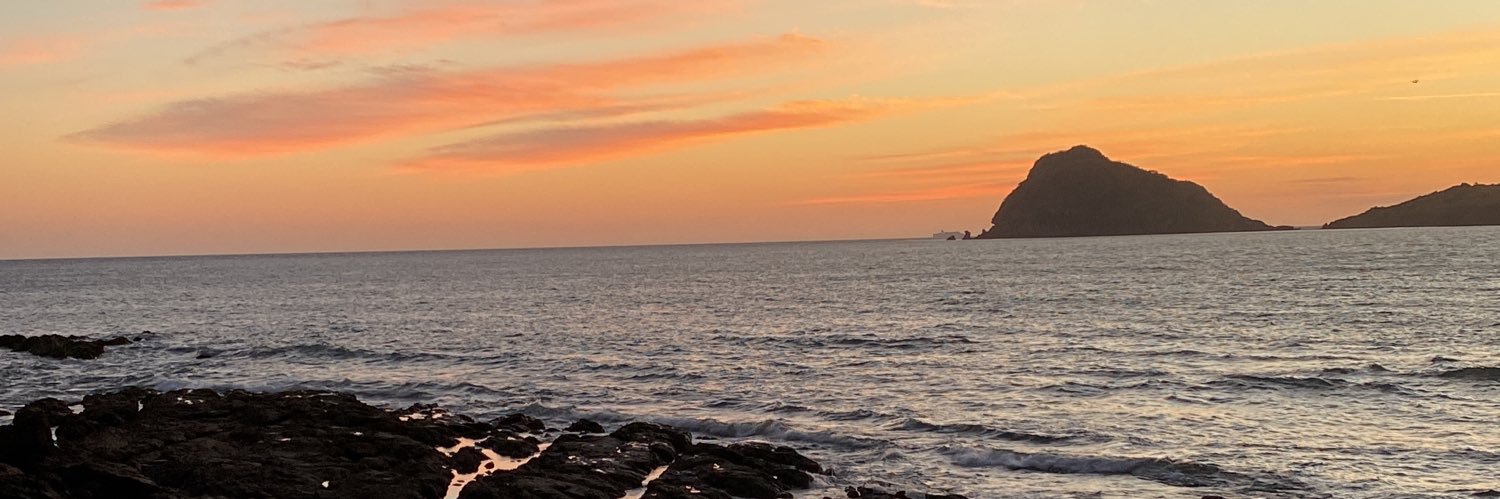 Luisadelap's profile banner image