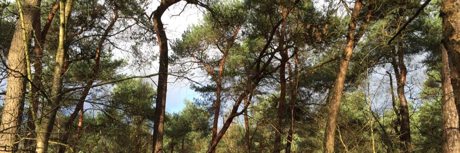 way_nature's profile banner image