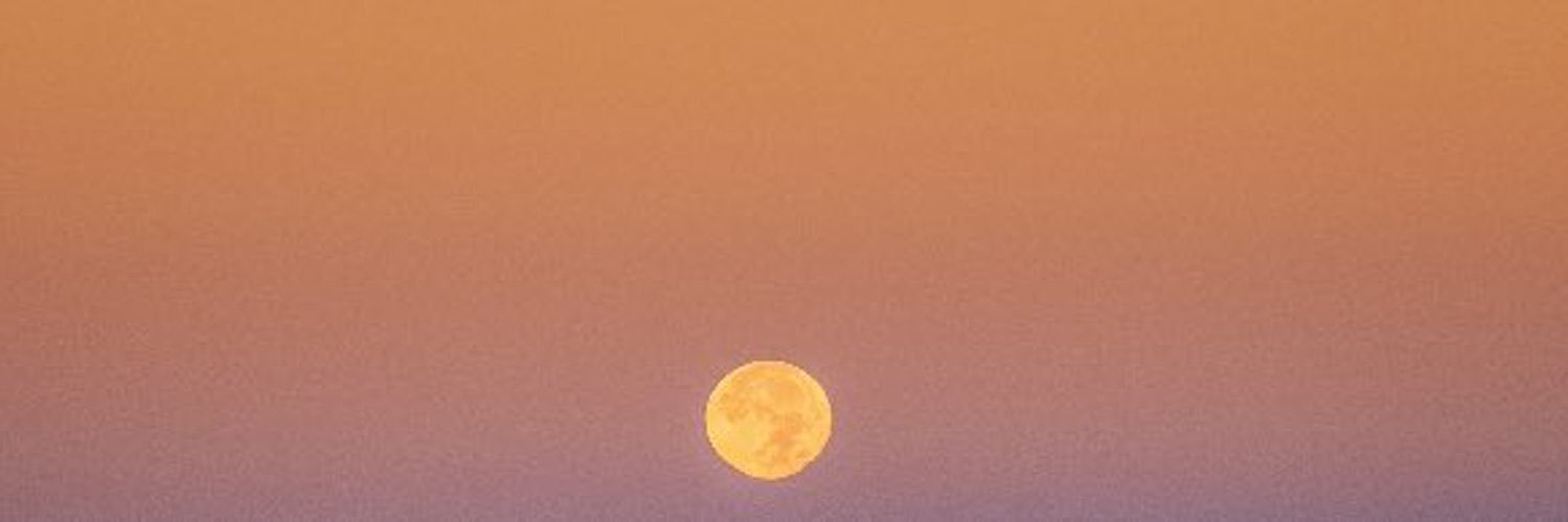 platanhoe's profile banner image