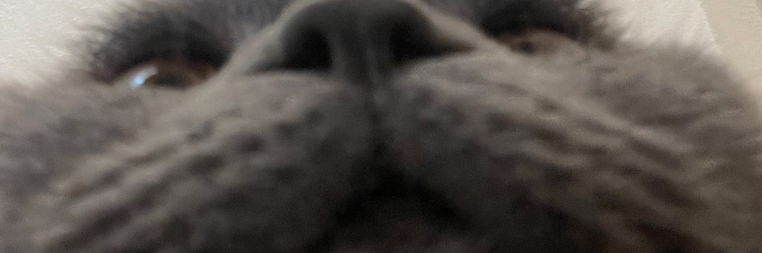 buketblkn's profile banner image