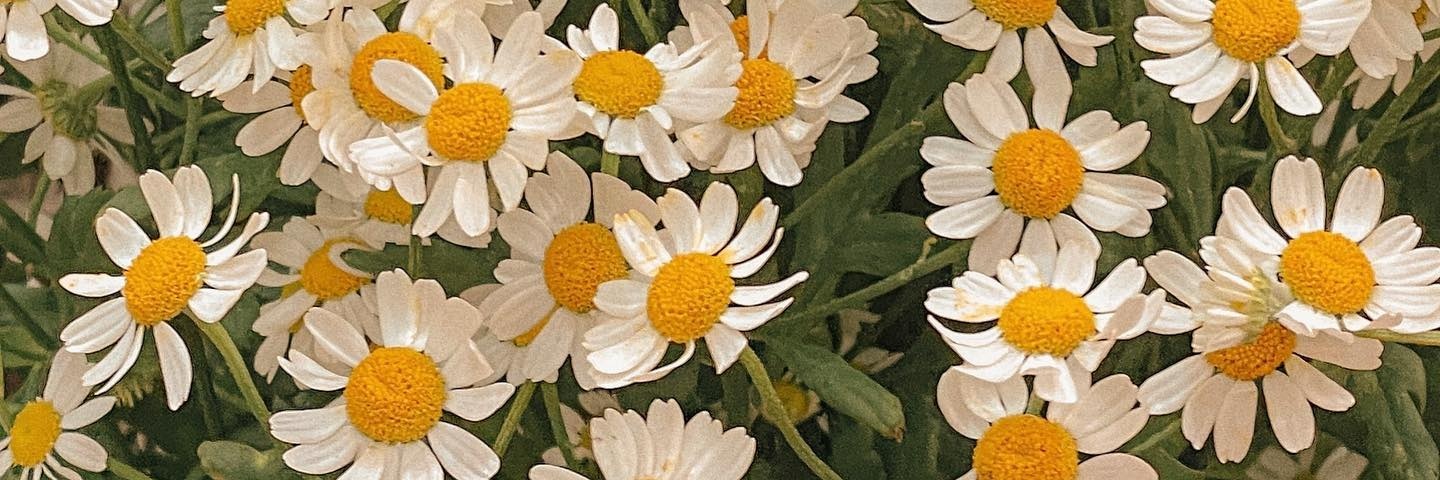 tamaraldss's profile banner image