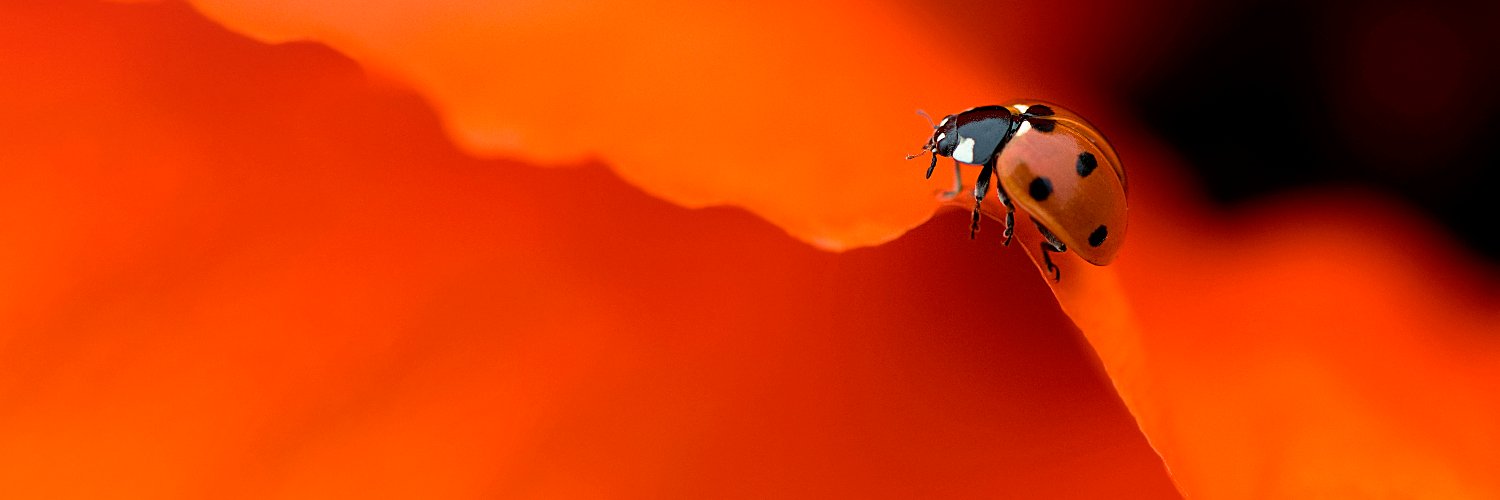 GreenLight Biosciences banner