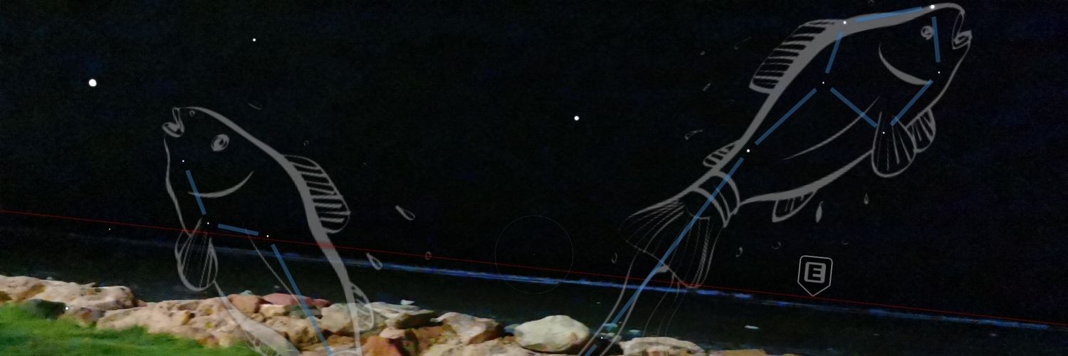 salmaghaly's profile banner image