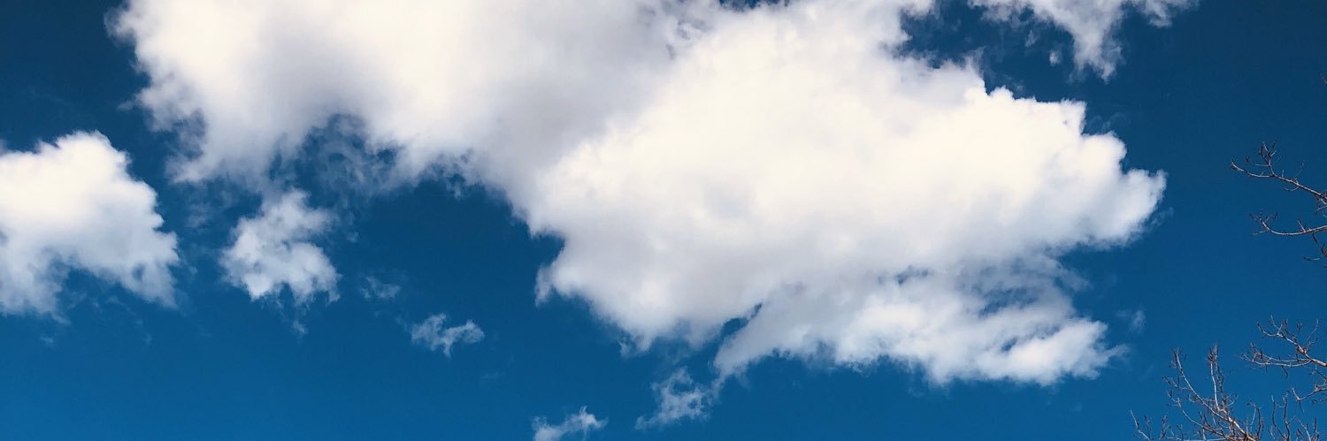 Liv_Wirezz's profile banner image
