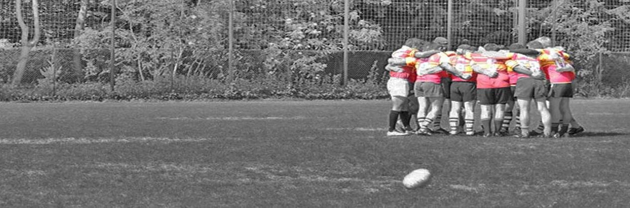 TempetesRugby's profile banner image