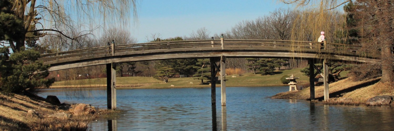 Cathy Carmody banner