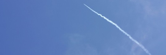 rosieccane's profile banner image