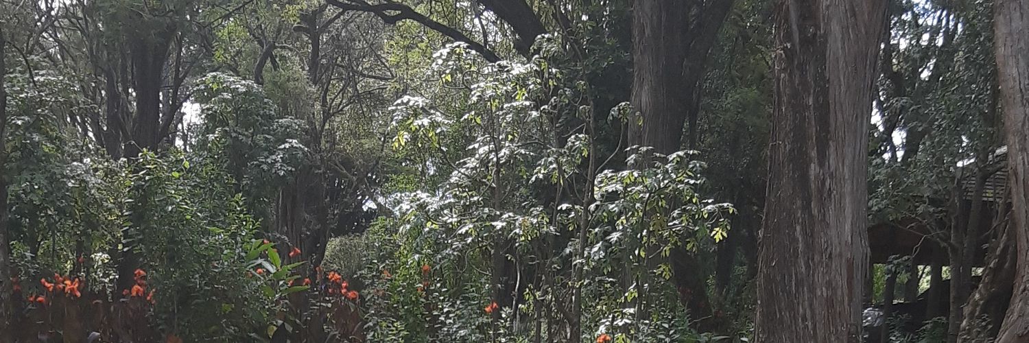 ApolloCaren's profile banner image