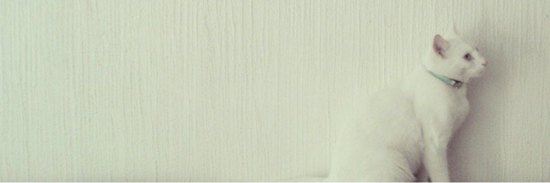 Lloronaaaa's profile banner image